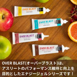 STC Nutrition エスティーシーニュ...の詳細画像3