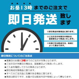Gショック G-SHOCK GA-2100FF...の詳細画像4