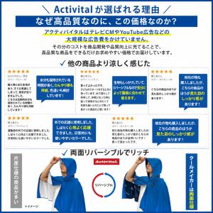 Activital クールメイカー 冷却ポンチ...の詳細画像4