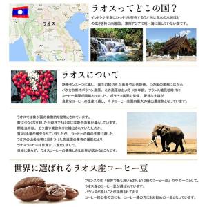 熱風 コーヒー豆 大入り福袋 4種類 2kg入...の詳細画像2