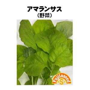 野菜 タネ 種 アマランサス（黒種） 藤田種子｜fujitaseed