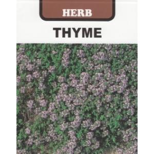 ハーブ タネ 種 クリーピングタイム 藤田種子