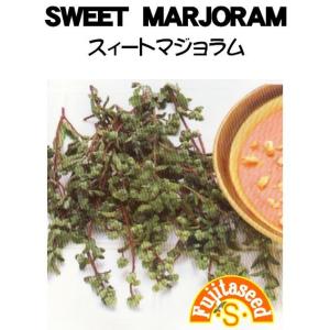ハーブ タネ 種 スィート・マジョラム 藤田種子
