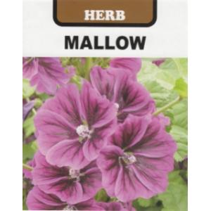 ハーブ タネ 種 マロウ（ウスベニアオイ）（マロー）