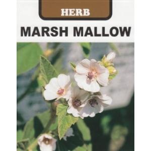 マシュマロ 花 ガーデニング の商品一覧 通販 Yahoo ショッピング