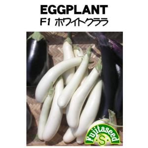 白ナス 種 種 種子 の商品一覧 花 ガーデニング 通販 Yahoo ショッピング