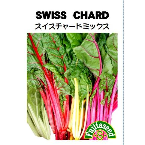 野菜 タネ 種 スイスチャード ミックス（白・赤・黄・ピンク） 藤田種子