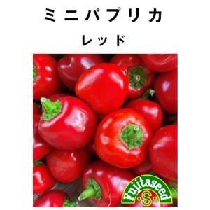 野菜 タネ 種 ミニパプリカ レッド 藤田種子｜fujitaseed