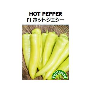 野菜 タネ 種 トウガラシ F1 ホットジェシー...の商品画像