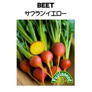 サフラン 種 種子 の商品一覧 花 ガーデニング 通販 Yahoo ショッピング