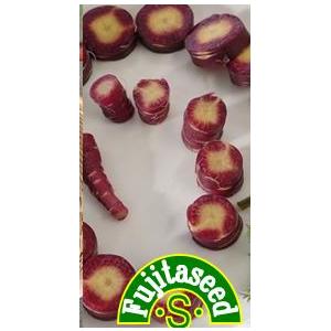 紫人参 種の商品一覧 通販 Yahoo ショッピング