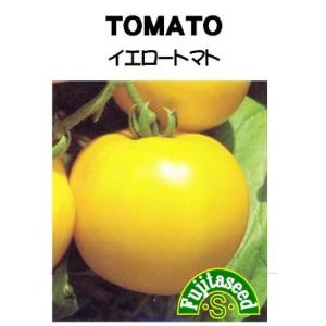 野菜 タネ 種 イエロートマト 藤田種子｜fujitaseed