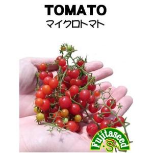 野菜 タネ 種 マイクロトマト 藤田種子｜fujitaseed