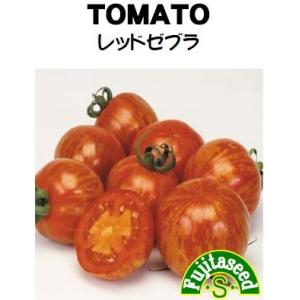 野菜 タネ 種 トマト レッドゼブラ 藤田種子