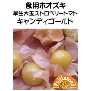 野菜 タネ 種 早生大玉ストロベリートマトキャンディゴールド 藤田種子