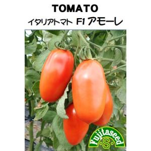 野菜 タネ 種 イタリアントマト F1 アモーレ 藤田種子