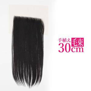 富士達 【売切セール 返品交換不可】 ウィッグ エクステ ストレート