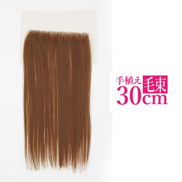 【売切セール 返品交換不可】 ウィッグ エクステ ストレート 耐熱 つけ毛 毛束 手植え毛束シート ...
