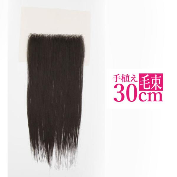【売切セール 返品交換不可】 ウィッグ エクステ ストレート 耐熱 つけ毛 毛束 手植え毛束シート ...