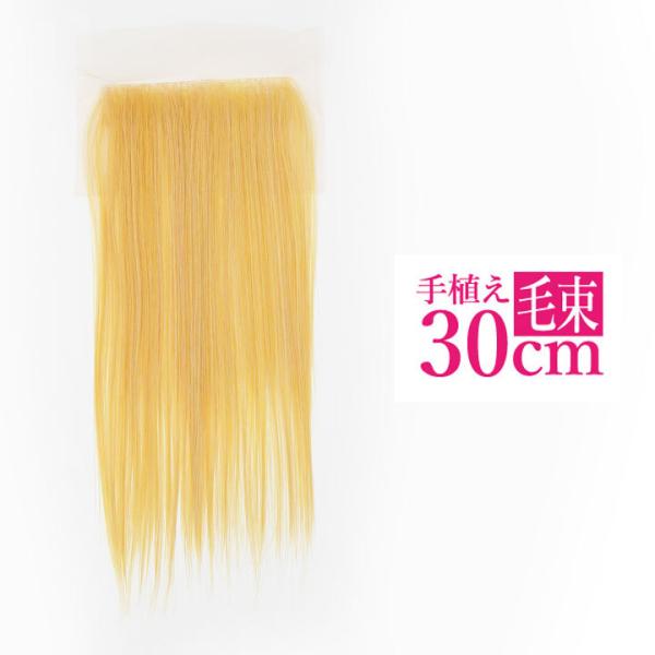 【売切セール 返品交換不可】 ウィッグ エクステ ストレート 耐熱 つけ毛 毛束 手植え毛束シート ...