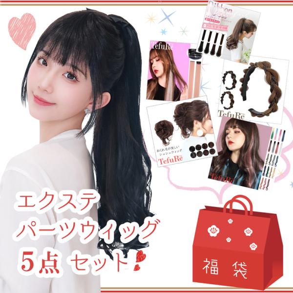 【エクステ・パーツウィッグ福袋】【メール便1点まで】5点 詰め合わせ 福袋 パーツ エクステ ポニテ...
