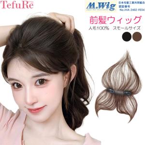 エクステ ワンタッチ ヘアピース 部分ウィッグ ボリューム ロング