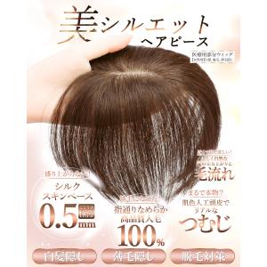 【人工頭皮付き】美シルエットヘアピース 部分ウ...の詳細画像1