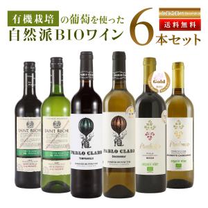 ワインセット 赤白 ソムリエ厳選 ヨーロッパ 銘醸地