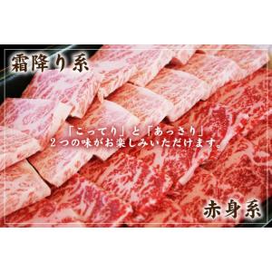 お中元 肉 牛肉 ギフト 焼肉セット 黒毛和牛...の詳細画像4