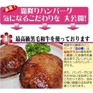 霜降りハンバーグ 雪の華 合計9個 セット 自...の詳細画像4