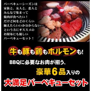 焼肉セット 厳選 BBQ バーベキュー セット...の詳細画像1