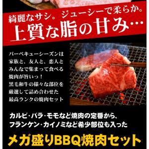 焼肉 食べ比べ 最高級 黒毛和牛 店長厳選 お...の詳細画像1