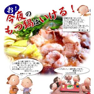 もつ鍋 国産 黒毛和牛 阿波黒牛 もつ鍋セット...の詳細画像5