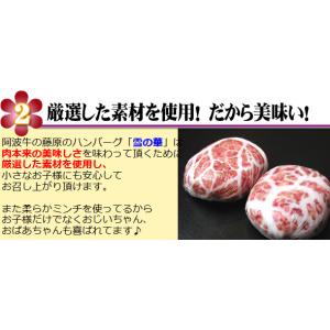 お中元 ギフト 霜降りハンバーグ 雪の華 4個...の詳細画像5