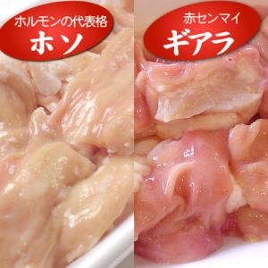 もつ鍋 国産 黒毛和牛 阿波黒牛 もつ鍋セット...の詳細画像2