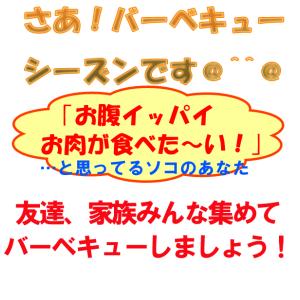 焼肉 福袋 ヤキニクブクロ 合計1.1kg 5...の詳細画像1