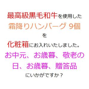 お中元 霜降り ハンバーグ 雪の華 9個 化粧...の詳細画像5