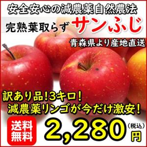 数量限定！青森リンゴ サンふじ 訳あり品３キロ 安心安全の減農薬 葉取らず完熟だから美味い 生産農家より直送 最終特別特価品 今だけ限定お得です