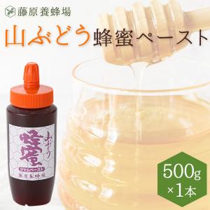 may  日本ミツバチ蜂蜜  1kg×1本 国産はちみつ 日本ミツバチのハチミツ 藤原養蜂場の日本在来種