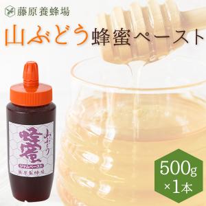 はちみつギフト　贈り物に最適な山ぶどう蜂蜜ペースト　ポリ容器入り　500g　創業百二十余年老舗藤原養蜂場｜fujiwarayohojo