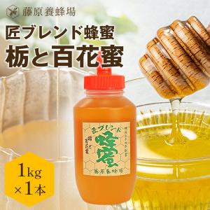 専用出品★天然純粋はちみつ100%菩提樹の蜂蜜16本 国産はちみつ 菩提樹のハチミツ 藤原国産蜂蜜 500g ポリ容器入り 創業