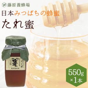 国産はちみつ 日本ミツバチのハチミツ 藤原養蜂場の日本在来種 国産はちみつ 日本ミツバチのハチミツ 藤原養蜂場の日本在来種