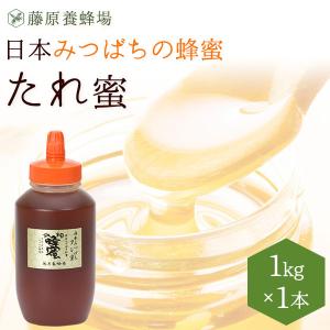 国産はちみつ 日本ミツバチのハチミツ 藤原養蜂場の日本在来種 国産はちみつ 日本ミツバチのハチミツ 藤原養蜂場の日本在来種