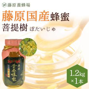 国産はちみつ　菩提樹のハチミツ　藤原国産蜂蜜　1.2KG(1200g)　ガラス瓶入り　創業百二十余年老舗藤原養蜂場｜fujiwarayohojo