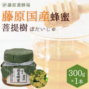 国産はちみつ けんぽなしのハチミツ 藤原国産蜂蜜 1.2KG(1200g 国産はちみつ けんぽなしのハチミツ 藤原国産蜂蜜 1.2KG(1200g