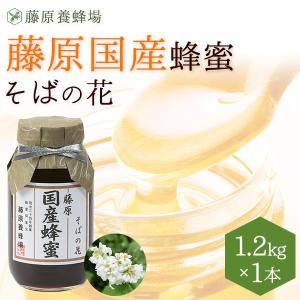 国産はちみつ　そばのハチミツ　藤原国産蜂蜜　1.2KG(1200g)　ガラス瓶入り　創業百二十余年老舗藤原養蜂場｜fujiwarayohojo