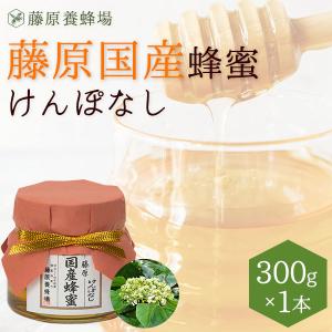 国産はちみつ　けんぽなしのハチミツ　藤原国産蜂蜜　300g　ガラス瓶入り　創業百二十余年老舗藤原養蜂場｜fujiwarayohojo