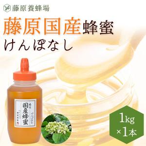 国産はちみつ　けんぽなしのハチミツ　藤原国産蜂蜜　1KG(1000g)　ポリ容器入り　創業百二十余年老舗藤原養蜂場｜fujiwarayohojo