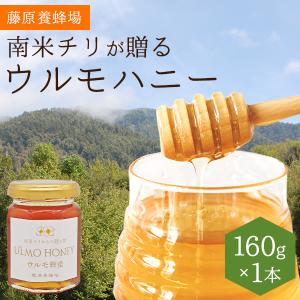 外国産はちみつ　ウルモハニー　南米チリ産蜂蜜　南米のマヌカハニーと呼ばれています　160g　ガラス瓶入り　創業百二十余年藤原養蜂場｜fujiwarayohojo