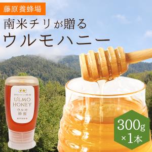 外国産はちみつ　ウルモハニー　南米チリ産蜂蜜　南米のマヌカハニーと呼ばれています　300g　ポリ容器入り　創業百二十余年藤原養蜂場｜fujiwarayohojo